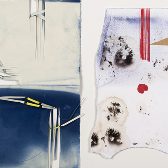 Navajo+Foraged Mushrooms_340